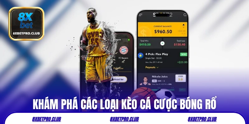 Khám phá các loại kèo cá cược bóng rổ 8xbet