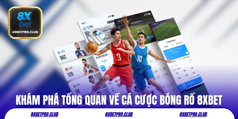 Khám phá tổng quan về cá cược bóng rổ 8xbet