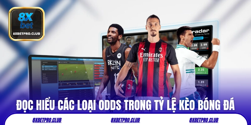 Đọc hiểu các loại odds trong tỷ lệ kèo bóng đá 8xbet