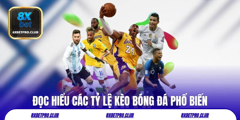 Đọc hiểu các tỷ lệ kèo bóng đá 8xbet phổ biến